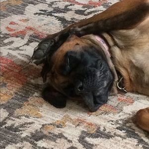 Meet your Posher, Denise